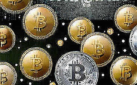 The Cost of Silence: When Missing Data Becomes the Loudest Signal in Crypto Markets
