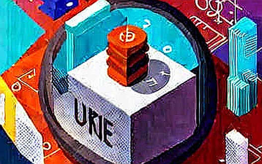 The Empty Ledger: When a $100M Protocol Delivers Zero Verifiable Data