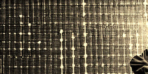 Solana's Inflation Guillotine: SIMD-550 and SIMD-553 Are Reshaping SOL's Economic DNA