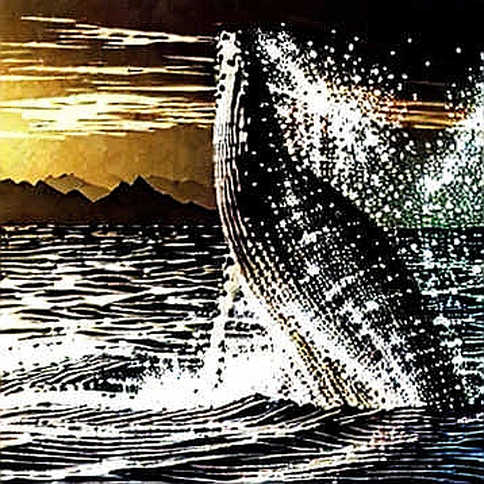 The KOSPI Whale That Surfed the Crypto Ripple: Why Seoul's 11.5% Bounce Is a Warning, Not a Signal The KOSPI Whale That Surfed the Crypto Ripple: Why Seoul's 11.5% Bounce Is a Warning, Not a Signal