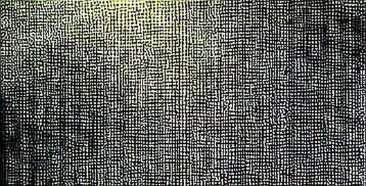 The Signal in the Silence: Why an Empty Data Parse Tells the Real Story