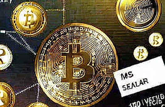 The Empty Audit: Why Missing Data Is Crypto's Most Dangerous Signal The Empty Audit: Why Missing Data Is Crypto's Most Dangerous Signal