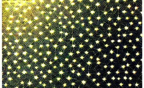 When the Gatekeeper Warns of the Gates: A Protocol Reading of Dimon's Dollar Prophecy