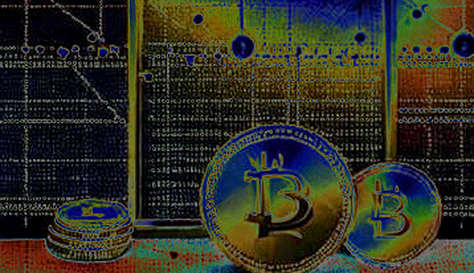 Cardano's Governance Vote: A Study in Participation Asymmetry
