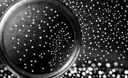 OpenAI's Referral Gambit: A Macro Lens on AI's Emerging Market Land Grab